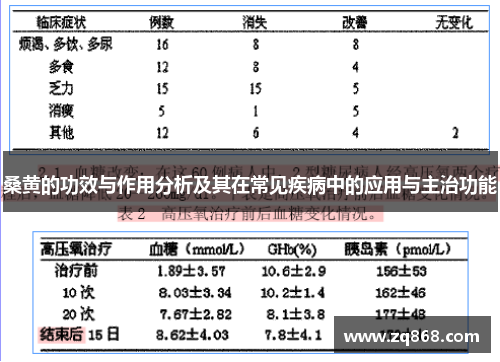 桑黄的功效与作用分析及其在常见疾病中的应用与主治功能
