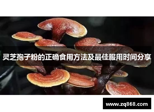 灵芝孢子粉的正确食用方法及最佳服用时间分享